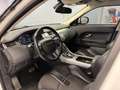 Land Rover Range Rover Evoque Range Rover Evoque I 2011 5p 2.2 sd4 Dynamic 190cv Bianco - thumbnail 7