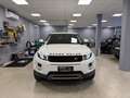 Land Rover Range Rover Evoque Range Rover Evoque I 2011 5p 2.2 sd4 Dynamic 190cv Bianco - thumbnail 2