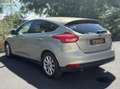 Ford Focus 1.0 SCTI ECOBOOST 125 TITANIUM START-STOP CAMERA D Gris - thumbnail 15