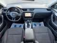 Skoda Octavia 2.0 TDI Ambition Grau - thumbnail 11