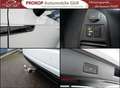 Volkswagen Touareg V6 R-Line 4Motion Assist Matrix Innovision HUD AHK Weiß - thumbnail 14