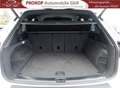 Volkswagen Touareg V6 R-Line 4Motion Assist Matrix Innovision HUD AHK Weiß - thumbnail 13