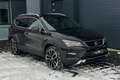SEAT Ateca 2.0 TSI 190pk 4DRIVE Business Intense PANO TREKHAA Braun - thumbnail 12