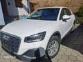 Audi Q2 Q2 30 TFSI intense intense Weiß - thumbnail 4