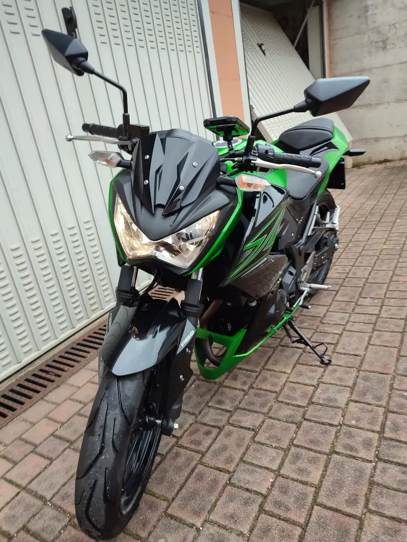 Kawasaki Z 300 Zöld - 2