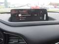 Mazda CX-30 /G140/AT/Centre-Line Grau - thumbnail 21
