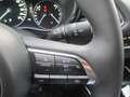 Mazda CX-30 /G140/AT/Centre-Line Grau - thumbnail 15