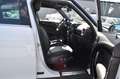 MINI Cooper Countryman Cooper /NAVI/Bi-XENON/PANO/TEMPOMAT Weiß - thumbnail 9