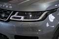 Land Rover Range Rover Sport 3.0SDV6 SE Aut. 249 Gris - thumbnail 21