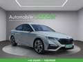 Skoda Octavia 2,0 TDI RS 4x4 DSG Grau - thumbnail 4