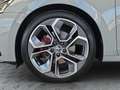 Skoda Octavia 2,0 TDI RS 4x4 DSG Grau - thumbnail 10
