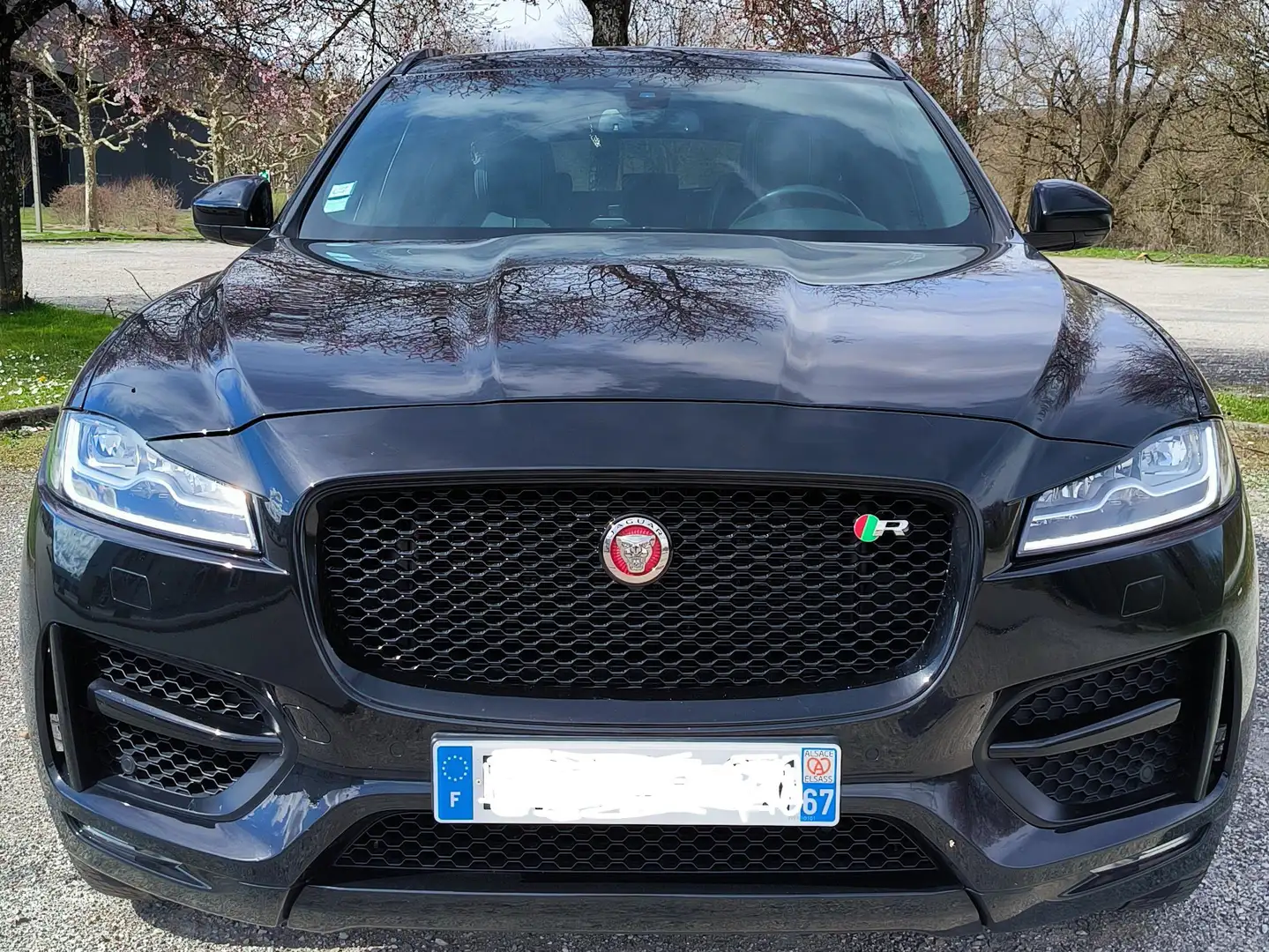 Jaguar F-Pace F-Pace V6 3.0 D - 300 ch AWD BVA8 R-Sport Noir - 2
