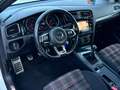 Volkswagen Golf GTI *PICKERL NEU 10/26* Performance BMT Weiß - thumbnail 13