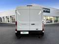 Ford Transit 350 114kW L3H2 Van  FWD HD Trend Blanc - thumbnail 5