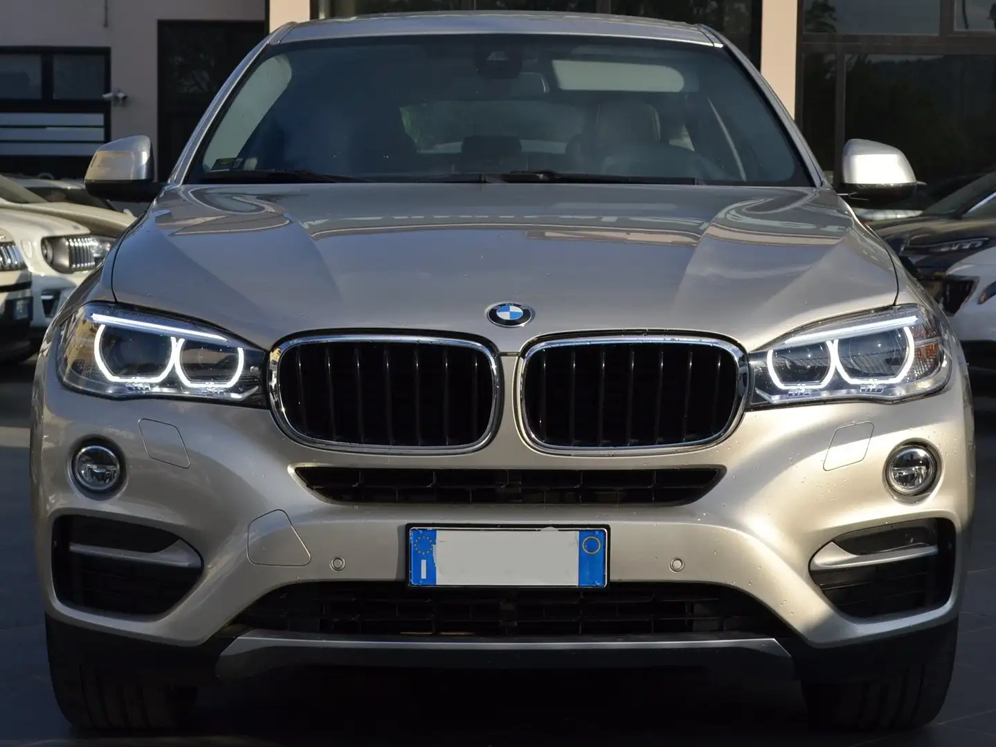 BMW X6 X6 xdrive30d Extravagance 258cv auto Grigio - 2