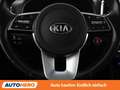 Kia Sportage 1.6 TGDI Platin 4WD Grau - thumbnail 19