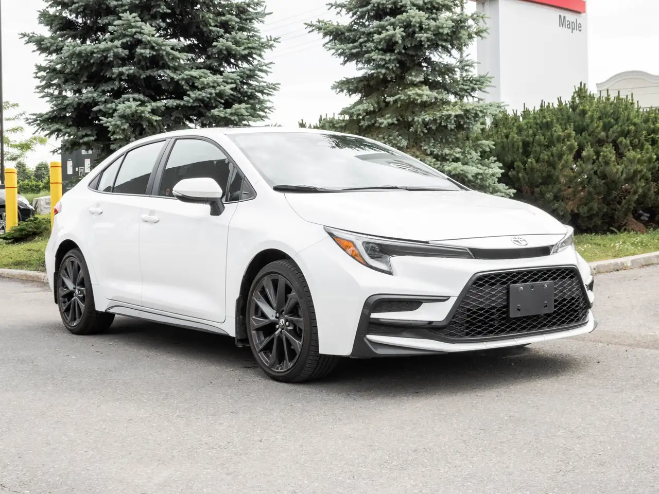 Toyota Corolla снимка Toyota Corolla