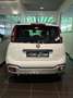 Fiat Panda 1.0 FireFly S&S Hybrid CROSS UNIPROP. 5 POSTO Blanc - thumbnail 3