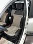 Fiat Panda 1.0 FireFly S&S Hybrid CROSS UNIPROP. 5 POSTO Blanco - thumbnail 10