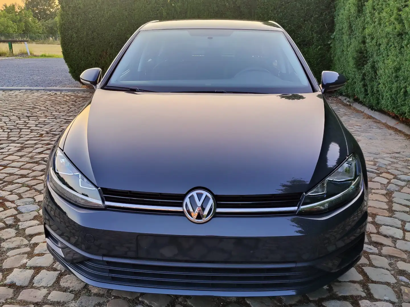 Volkswagen Golf 1.0 TSI BMT Trendline Gris - 2