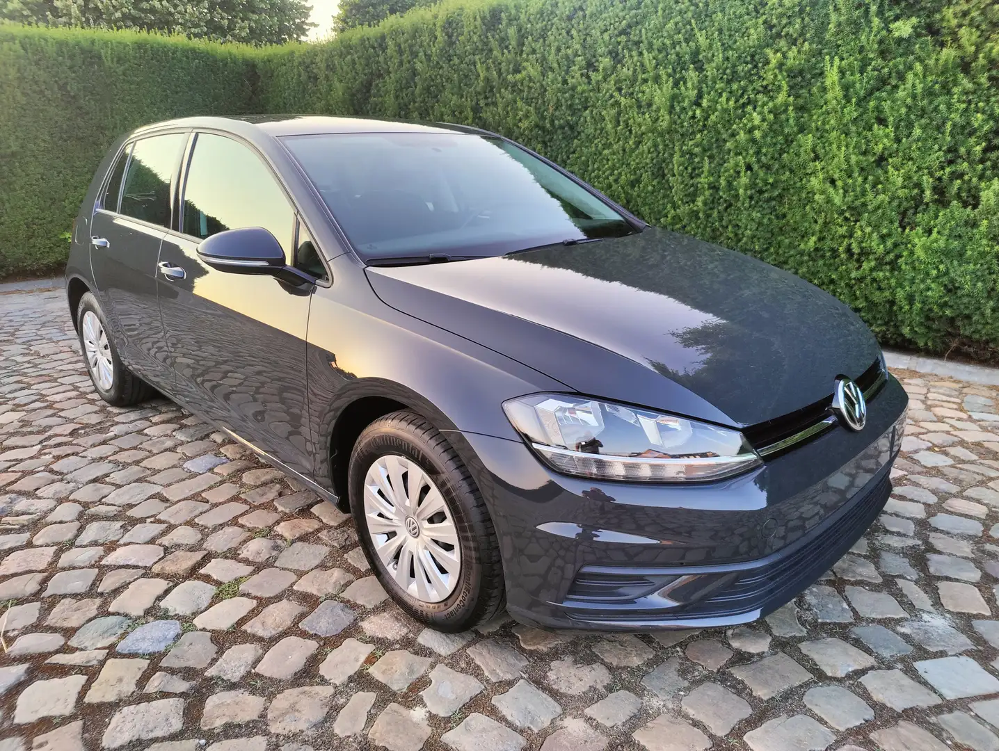 Volkswagen Golf 1.0 TSI BMT Trendline Gris - 1