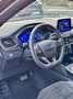 Ford Kuga ST-Line X PHEV - Winterpaket - Fahreras.Paket Schwarz - thumbnail 31