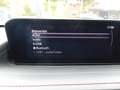 Mazda CX-30 2.0 e-SkyActiv-G M Hybrid Homura Noir - thumbnail 22