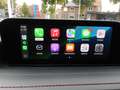 Mazda CX-30 2.0 e-SkyActiv-G M Hybrid Homura Noir - thumbnail 28