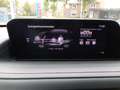 Mazda CX-30 2.0 e-SkyActiv-G M Hybrid Homura Noir - thumbnail 21
