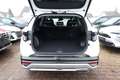 Hyundai TUCSON Prime 1.6 MHEV 160 DCT Matrix Kam360° 19Z 118 k... Weiß - thumbnail 11