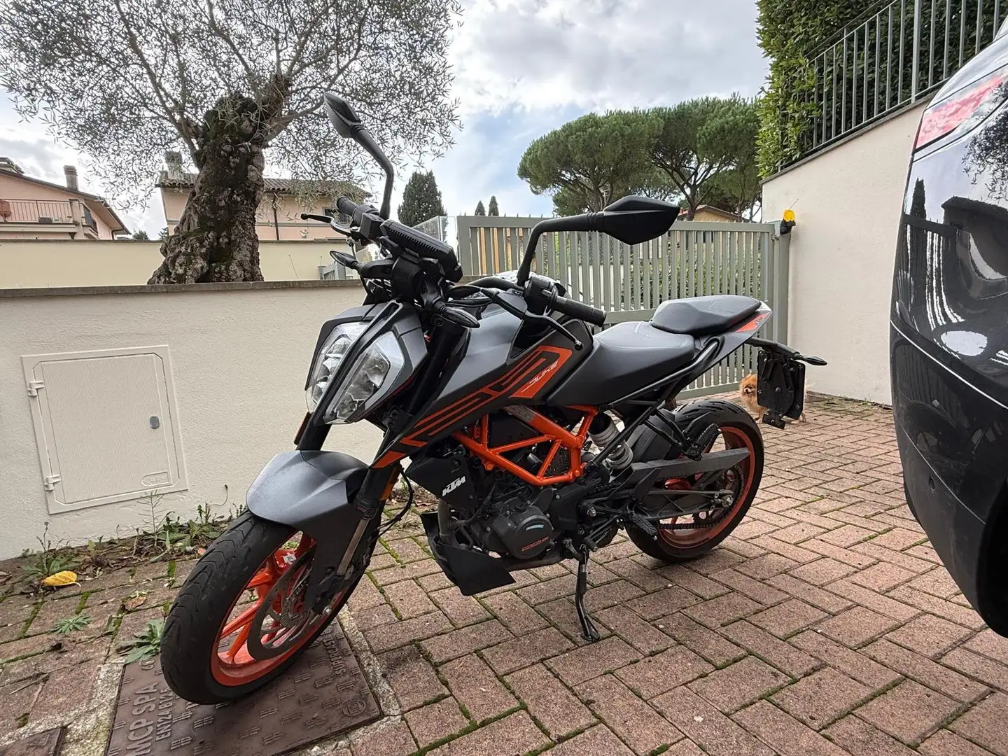 KTM 125 Duke Nero - 2