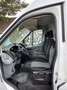Ford Transit Kasten 290 L2H3 Trend*136TKM*KLIMA* Blanc - thumbnail 11
