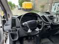 Ford Transit Kasten 290 L2H3 Trend*136TKM*KLIMA* Blanc - thumbnail 13