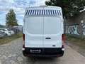 Ford Transit Kasten 290 L2H3 Trend*136TKM*KLIMA* Blanc - thumbnail 5
