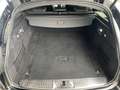 Jaguar XF Sportbrake D200 R-Dyn. SE AWD Mild-Hybrid Schwarz - thumbnail 19