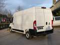 Fiat Ducato Ducato 2,2d L3H2 3pl. AC, Cruise, Camera, Garantie Weiß - thumbnail 11