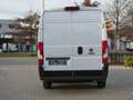 Fiat Ducato Ducato 2,2d L3H2 3pl. AC, Cruise, Camera, Garantie Weiß - thumbnail 9