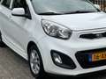 Kia Picanto 1.2 CVVT ISG Plus Pack 106.000 km NL-AUTO-NAP. Wit - thumbnail 6