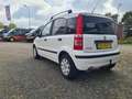 Fiat Panda 1.2 Emotion Wit - thumbnail 5