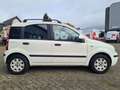 Fiat Panda 1.2 Emotion Wit - thumbnail 3