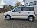 Fiat Panda 1.2 Emotion Wit - thumbnail 6