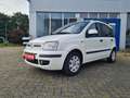 Fiat Panda 1.2 Emotion Wit - thumbnail 1