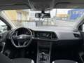SEAT Ateca Ateca 1,0 Reference Eco TSI Reference Weiß - thumbnail 13