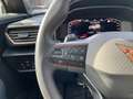 CUPRA Formentor 1.5 TSI AHK Panodach Kamera Navi Leder Digitales C Grau - thumbnail 25