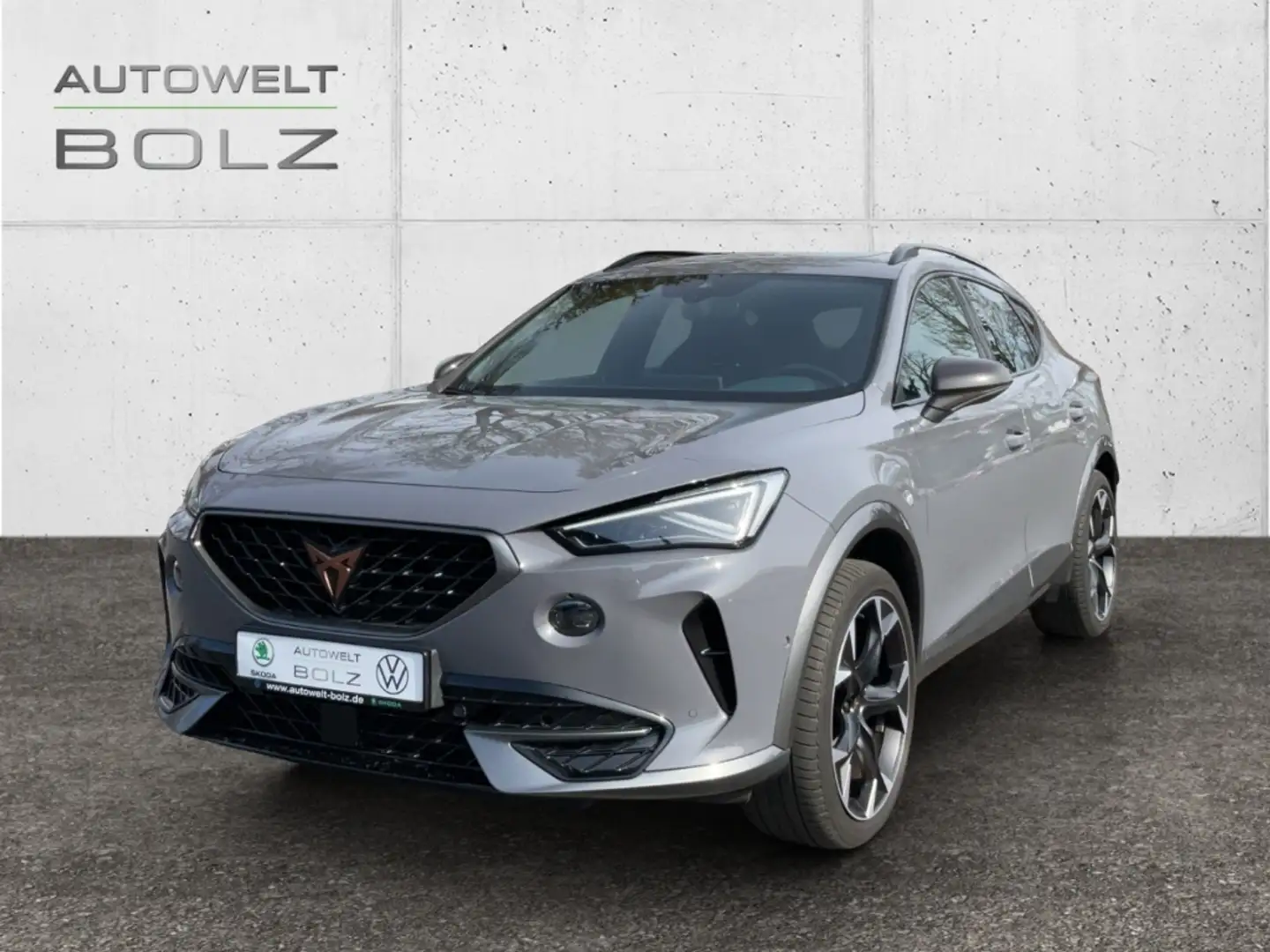 CUPRA Formentor 1.5 TSI AHK Panodach Kamera Navi Leder Digitales C Grau - 1
