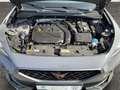 CUPRA Formentor 1.5 TSI AHK Panodach Kamera Navi Leder Digitales C Grau - thumbnail 20
