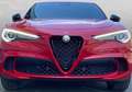 Alfa Romeo Stelvio 2.9 Bi-Turbo Q4 Quadrifoglio AT8 Rojo - thumbnail 1