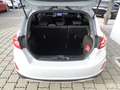 Ford Fiesta Active Colour-Line 1,5 TDCi Start/Stop Grigio - thumbnail 4