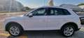 Audi Q5 2.0 TDI 190 CV quattro S tronic Business Bianco - thumbnail 3