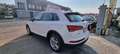 Audi Q5 2.0 TDI 190 CV quattro S tronic Business Bianco - thumbnail 5